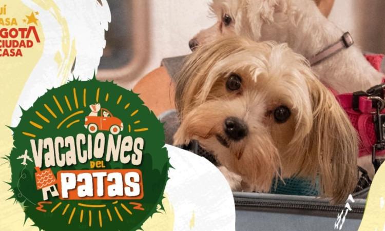 Imagen oficial de la campaña 'Vacaciones del Patas' para viajar con mascotas.