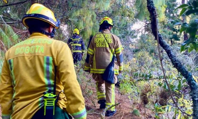 Foto de bomberos caminando por una zona verde.
