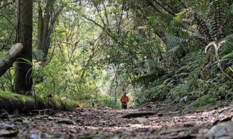 Caminos de los Cerros Orientales