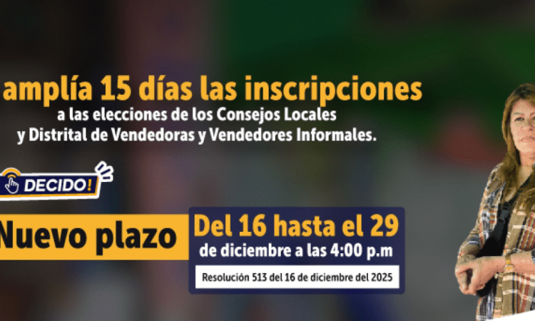 Imagen gráfica del IPES de los Consejos Locales Vendedores Informales 2025.