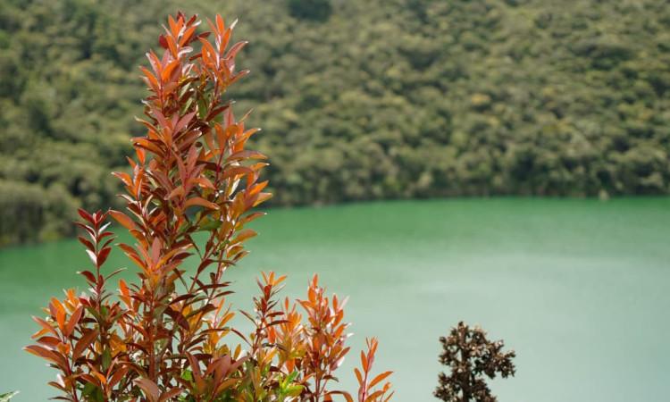 Imagen de La Laguna de Guatavita