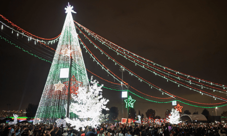 Imagen de un árbol gigante de navidad 