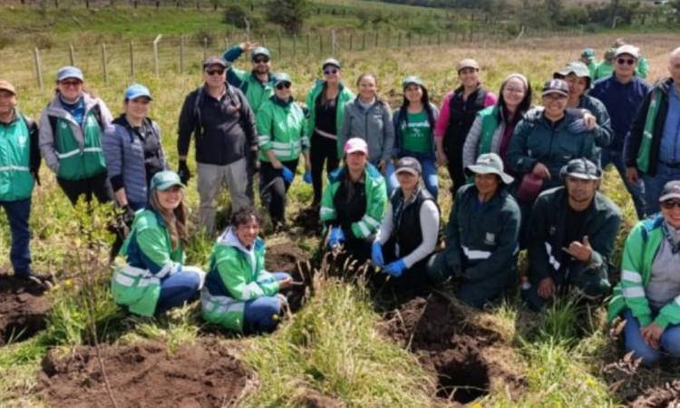 Fotos de la plantación de 164 nuevos árboles y arbustos en Ciudad Bolívar, al sur de Bogotá.