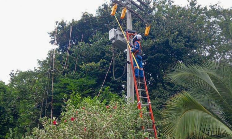 Foto que muestra trabajadores de Enel Colombia