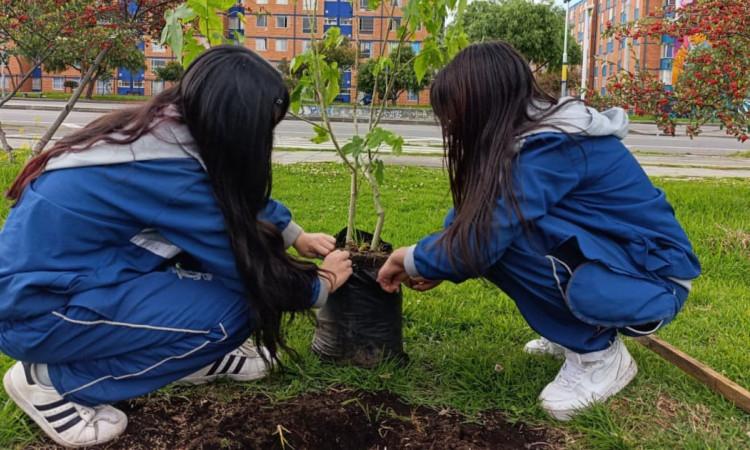 Niñas sembrando árboles 