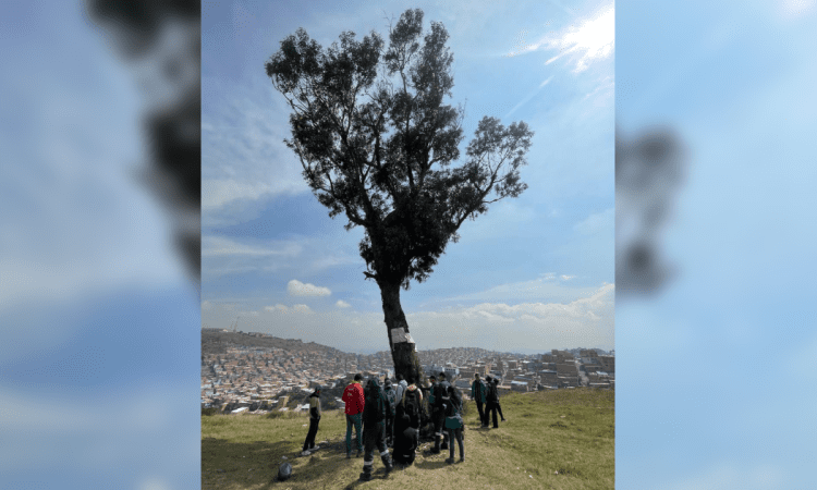 Imagen del árbol de la vida en Ciudad Bolívar