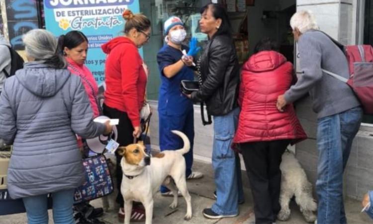 Ciudadanos con sus mascotas en jornada de esterilización en Barrios Unidos.