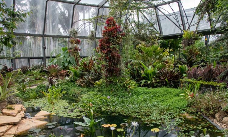 Imagen del Tropicario del Jardín Botánico