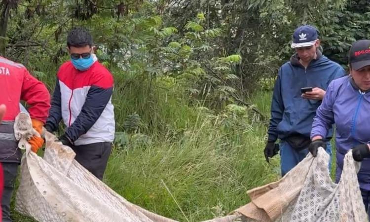 Equipo de Más Territorio, personas de la Secretaría de Seguridad y la Policía Nacional, retirando basura. 