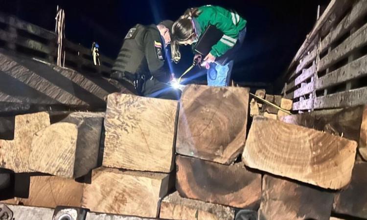 Incautados 11,45 m³ de madera ilegal en Bogotá proveniente de Quindio