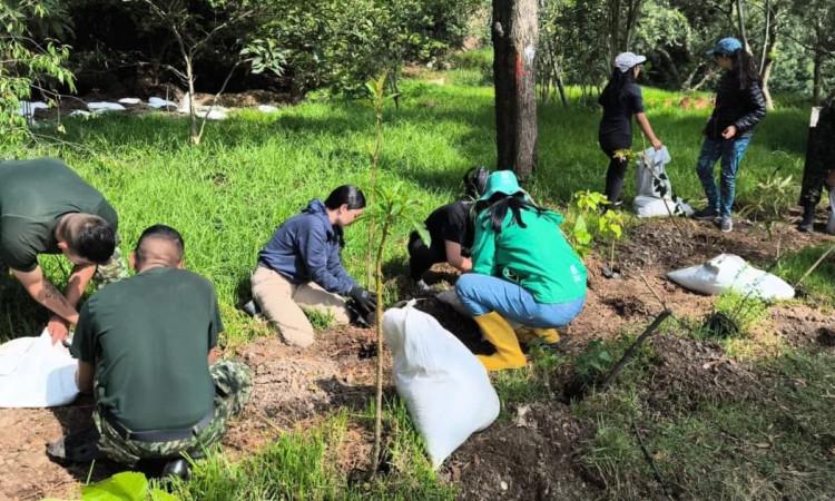 personas sembrando plantas en un parque
