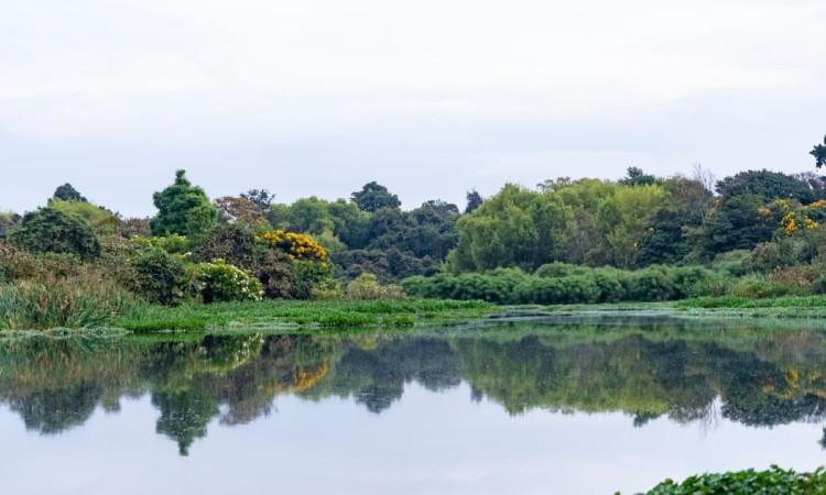 Foto del fumedal Córdoba de Bogotá.
