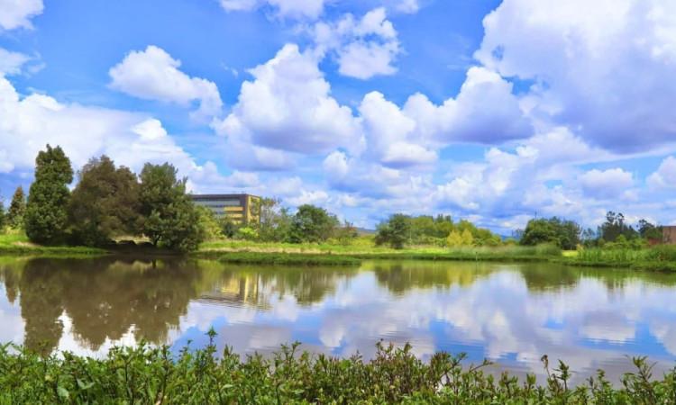 Humedal Capellanía de Bogotá