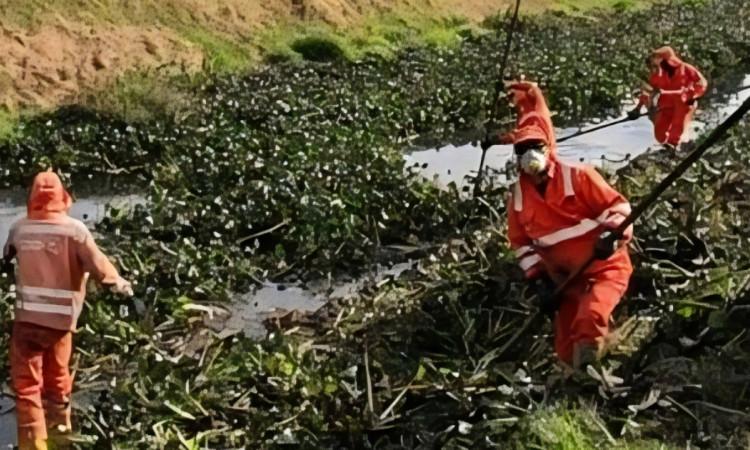 Foto que muestra trabajadores de Aguas de Bogotá limpiando la Quebrada Tibanica