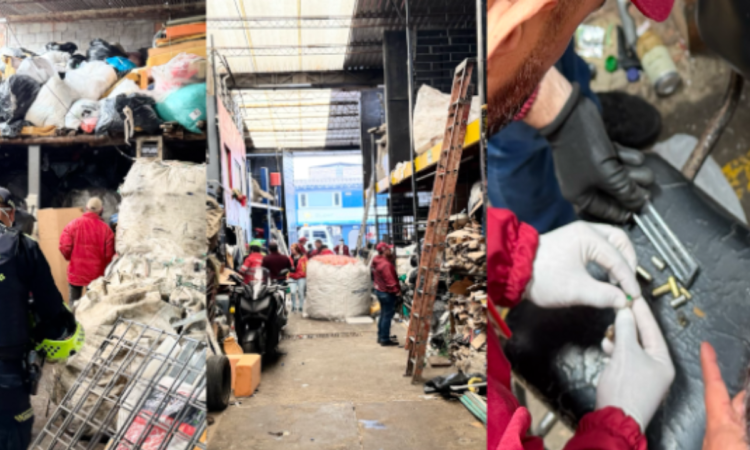 Foto de funcionarios del Distrito en operativo de seguridad