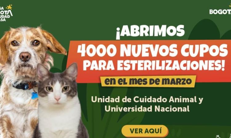 Imagen de la publicidad de las jornadas de esterilización en Bogotá.