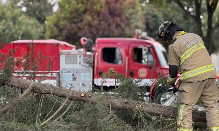Uniformado del Cuerpo de Bomberos atendiendo un caso de árbol caído en Bogotá.
