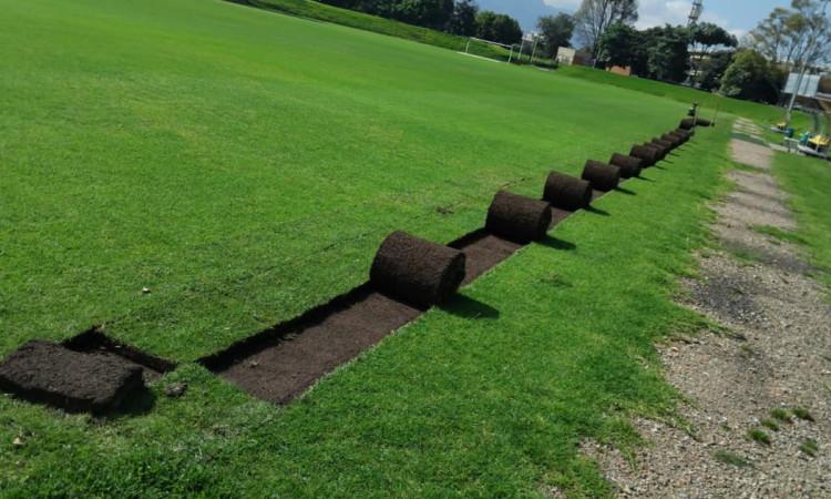 El césped de El Campincito tipo grama tipo kikuyo