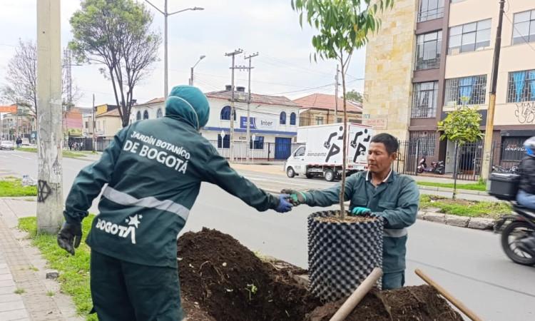 Funcionarios del Jardín Botánico de Bogotá realizan jornada de siembra