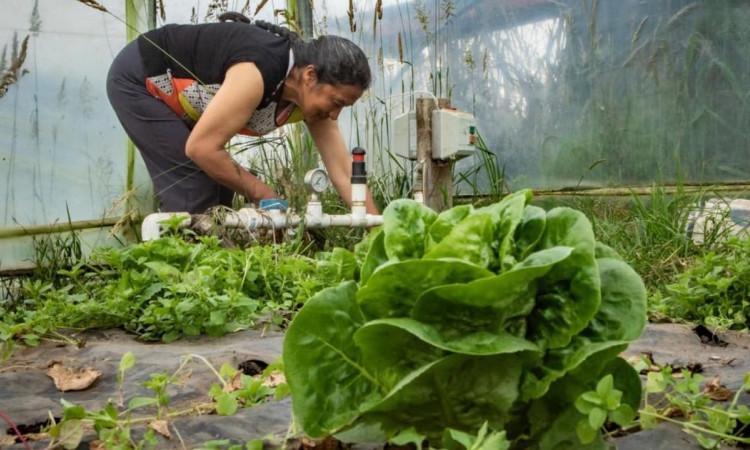 Foto de una campesina en zona rural de Bogotá.
