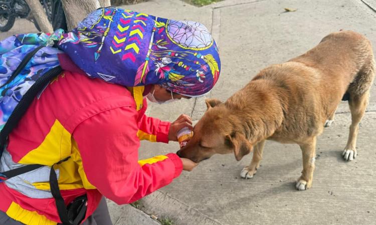 Funcionaria de la Alcaldía Local atendiendo un perro