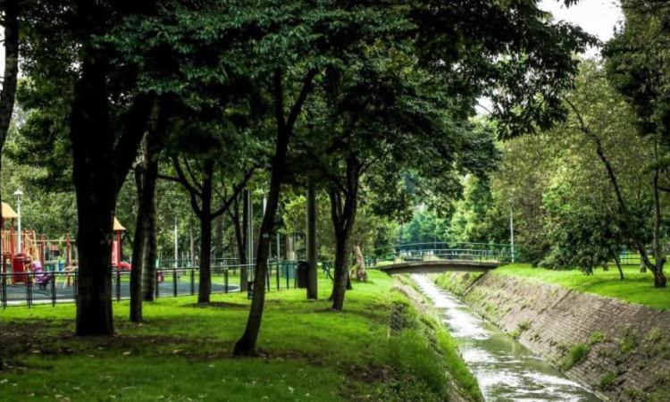 Bosque Urbano de Bogotá