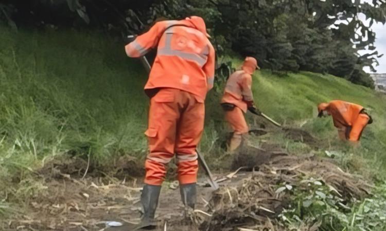 Foto que muestra personas limpiando un humedal 