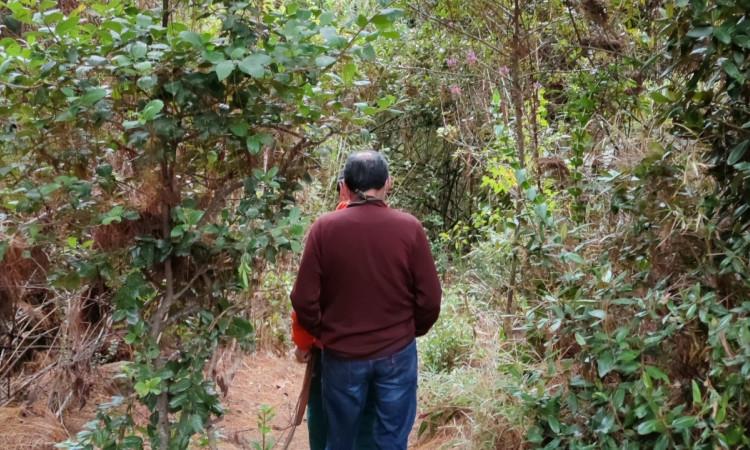 Foto que muestra unas personas caminando en senderos ecológicos