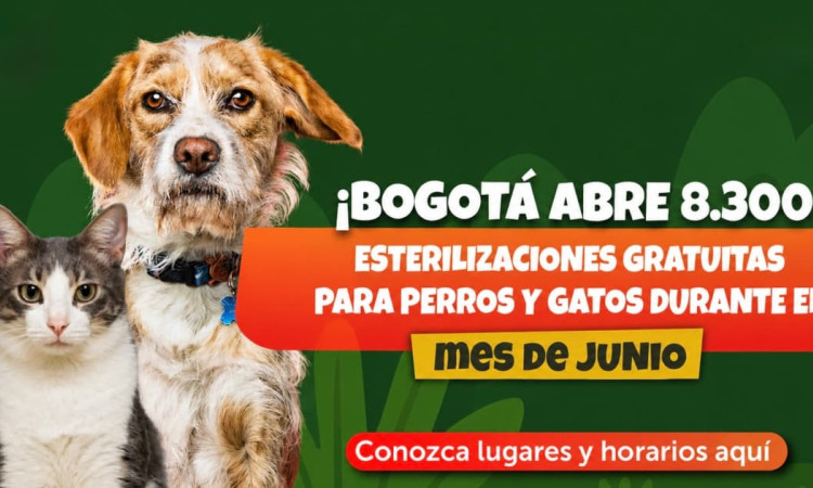 Perro y gato junto a aviso: “¡Bogotá abre 8.300 esterilizaciones gratuitas para perros y gatos durante el mes de junio! Conozca lugares y horarios aquí”