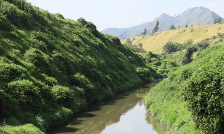 Quebrada estrecha entre laderas verdes, vegetación densa y montañas con agua tranquila bajo cielo claro.