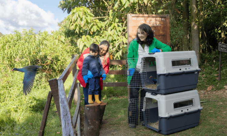 Liberación de aves silvestres rescatadas en el humedal La Conejera de Bogotá, con transportadoras de fauna y personas observando el retorno de los animales a su hábitat natural.