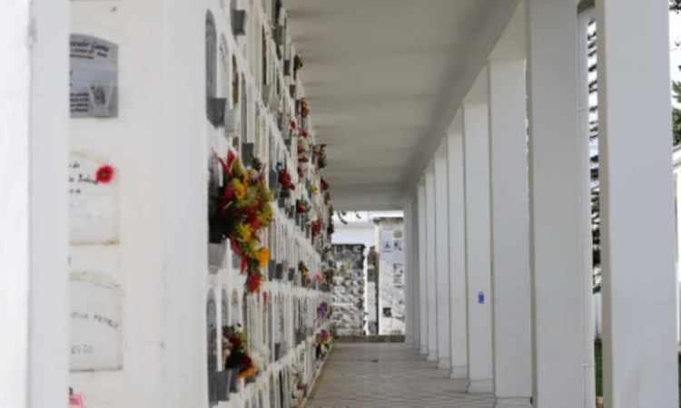 Foto que muestra un cementerio con flores 