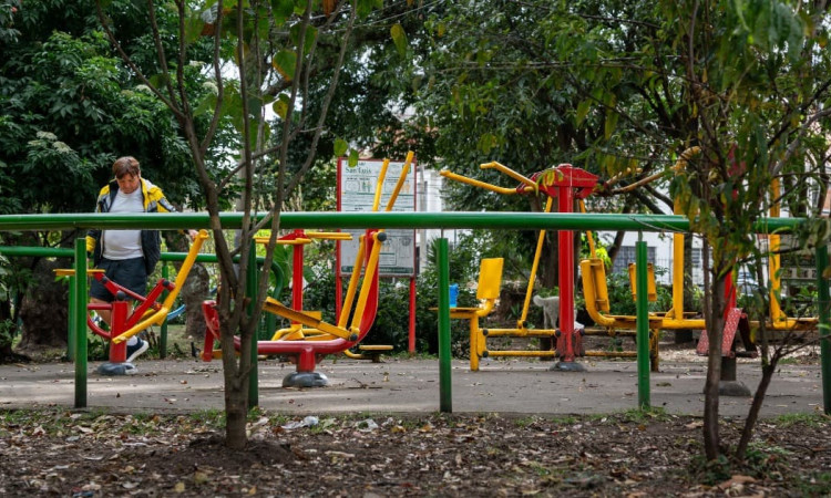Imagen del parque San Luis