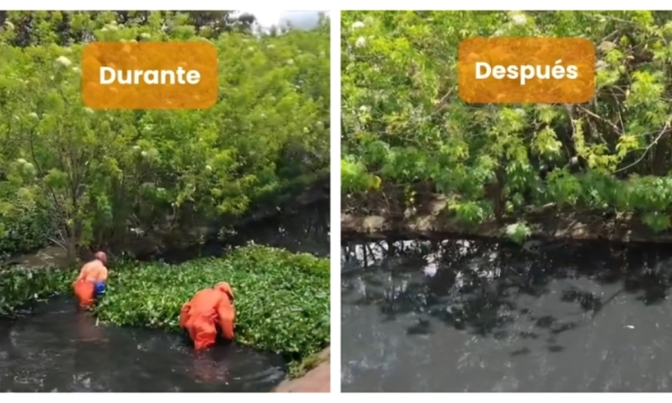 Foto que muestra personas limpiando el Humedal Jaboque 