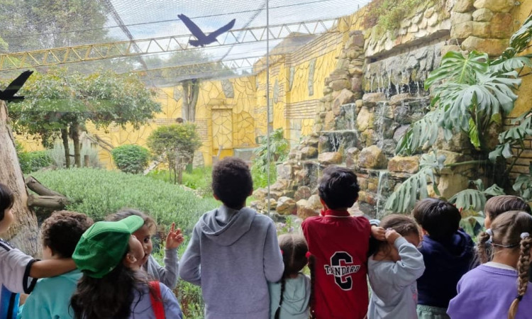 Niñas y niños de Centros Proteger visitando el Parque Jaime Duque