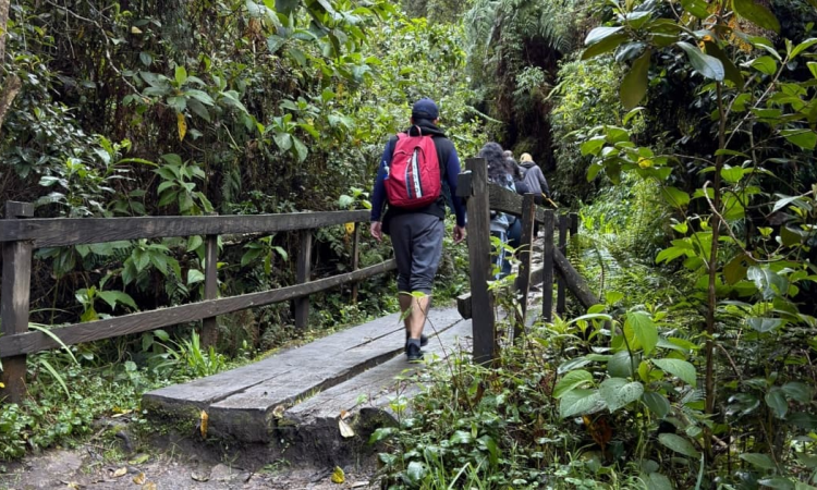 Foto que muestra personas caminando por un sendero ecológico
