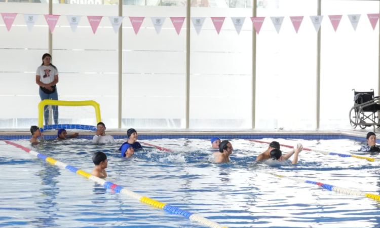 Imagen de varias personas nadando en una piscina 