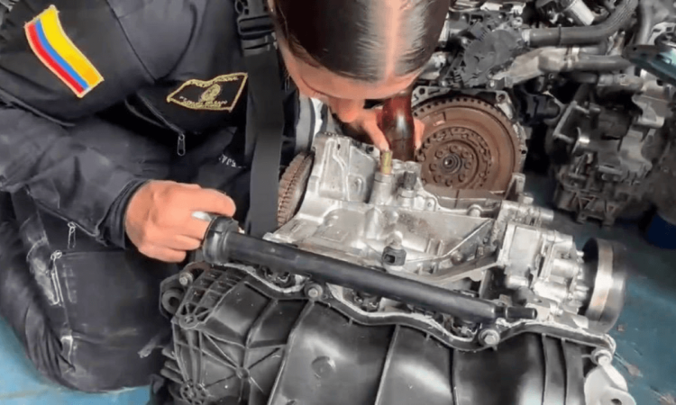 Mujer policía verificando un motor de vehículo. 