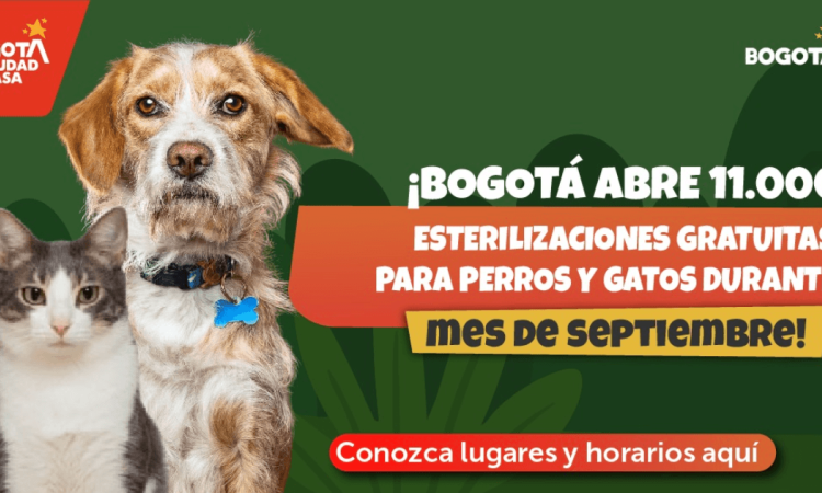 Pieza gráfica con ilustraciones de un perro y un gato sobre fondo verde con mensaje que dice: ´¡Bogotá abre 11.000 esterilizaciones gratuitas para perros y gatos durante el mes de septiembre!´.