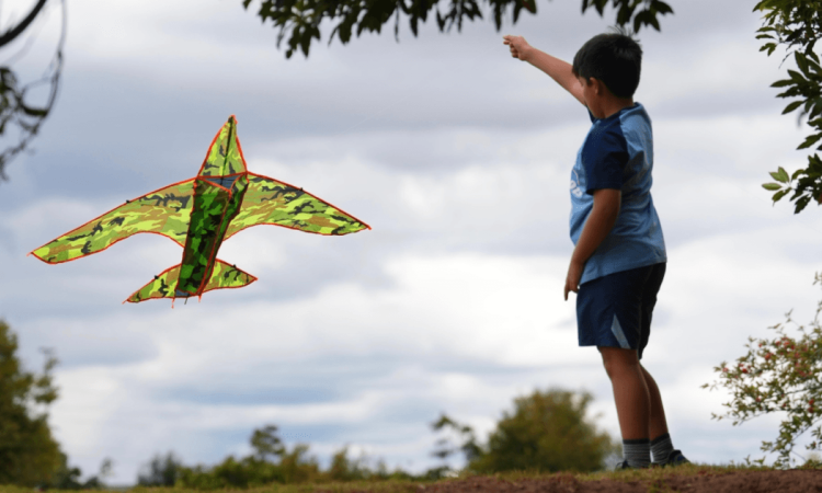 Persona eleva una cometa con forma de avión durante una jornada al aire libre en Bogotá bajo un cielo nublado.