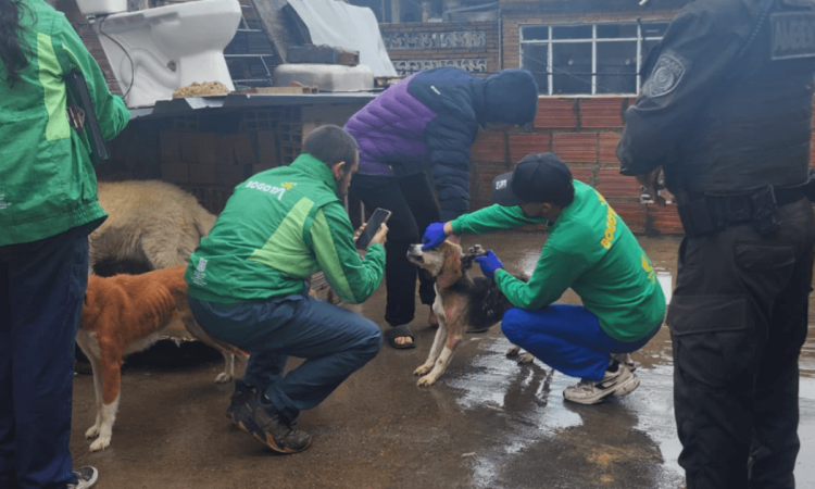 Funcionarios del IDPYBA y la Policía de Bogotá en operativo de rescate de nueve animales.