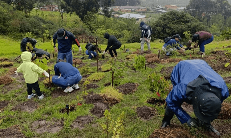 Personas participan en una jornada de restauración ecológica en el Parque Arqueológico y del Patrimonio Cultural de Usme.