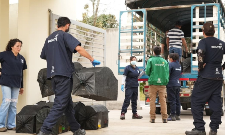 Foto del operativo en Bogotá que devolvió a la vida silvestre 247 animales recuperados.
