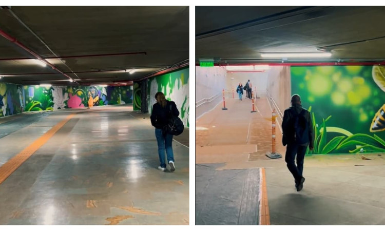 Captura de pantalla de un video del deprimido peatonal de la calle 13 con avenida 68 