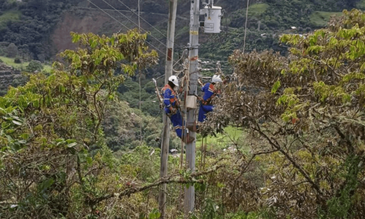 Foto que muestra trabajadores de Enel Colombia.