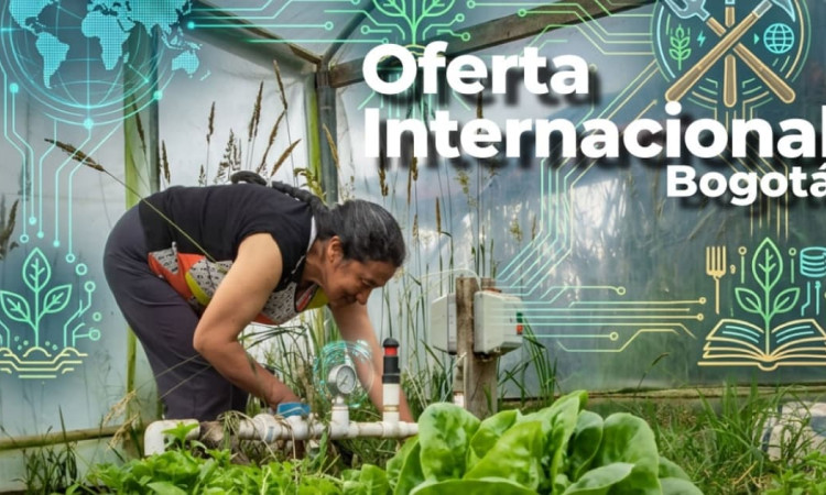 Foto de una mujer realizando labores de cultivo en una huerta urbana en Bogotá.
