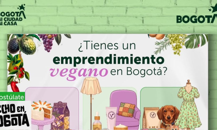 Foto de productos veganos animados para postulaciones al programa 'Hecho en Bogotá'.
