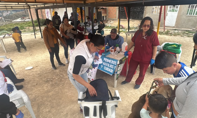 Foto de una brigada veterinaria en Bogotá 
