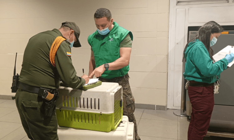 Personal uniformado entrega un guacal con un animal de compañía a otra persona en una instalación interior.