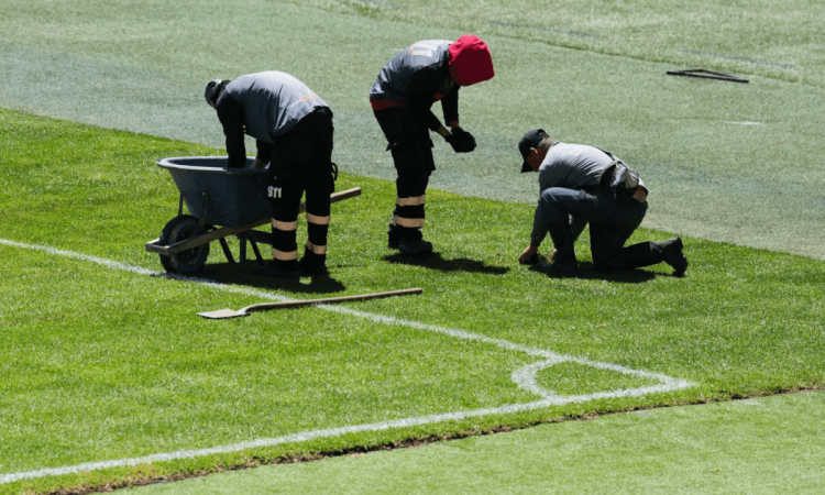 Tres trabajadores realizan labores de mantenimiento y reparación del césped en la cancha del estadio El Campín de Bogotá, junto a la línea lateral del campo de fútbol.